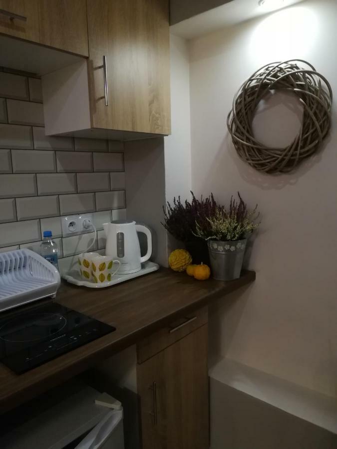 Apartament Akademicka Zamość المظهر الخارجي الصورة